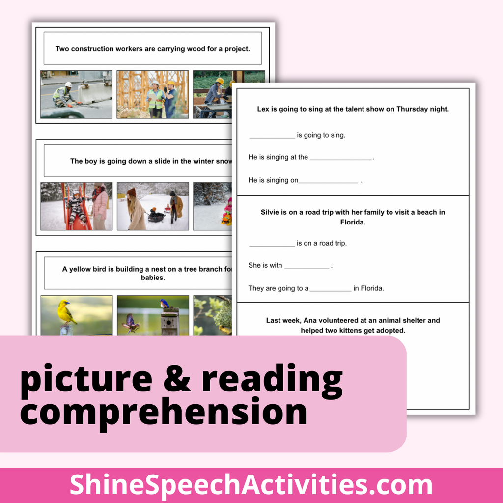 Sentence Comprehension & Language Comprehension