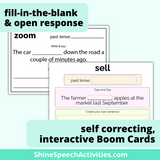 BUNDLE Past Tense Regular & Irregular Verbs