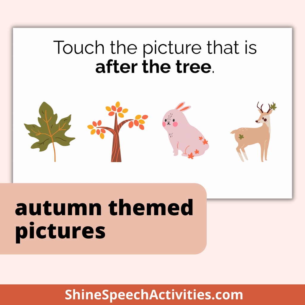 Autumn Basic Concepts