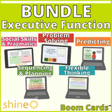 BUNDLE Executive Function